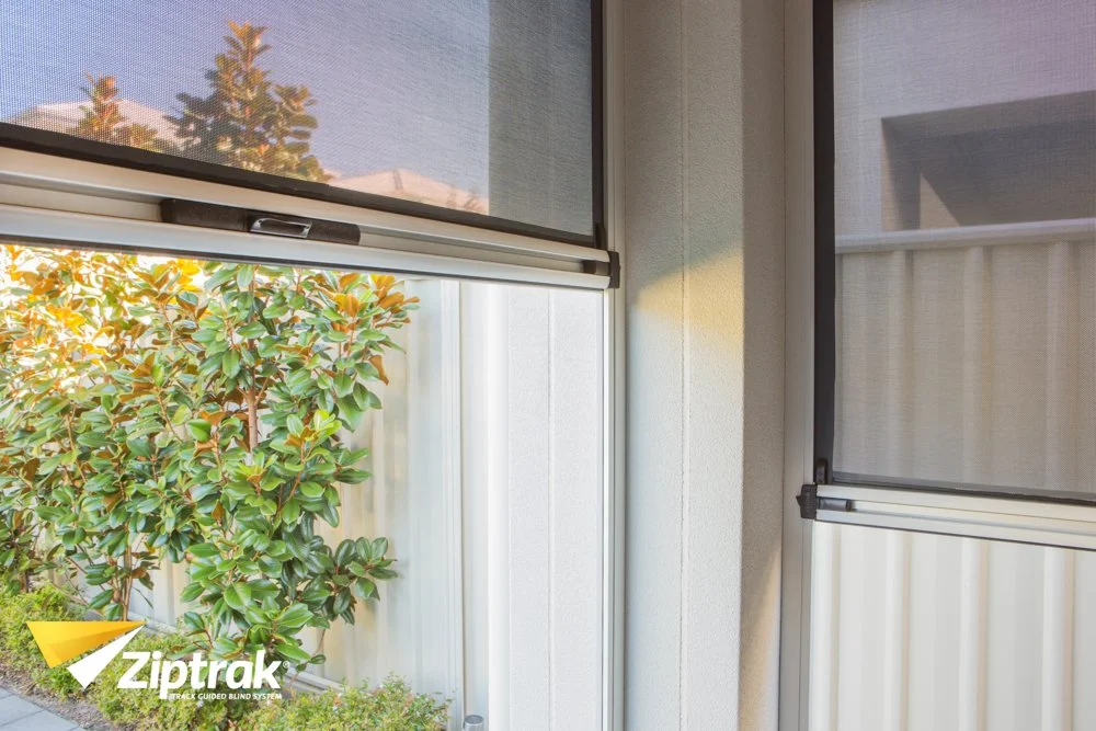 Inside view of a window with a screen, looking out to a green shrub and trees outside on a sunny day.