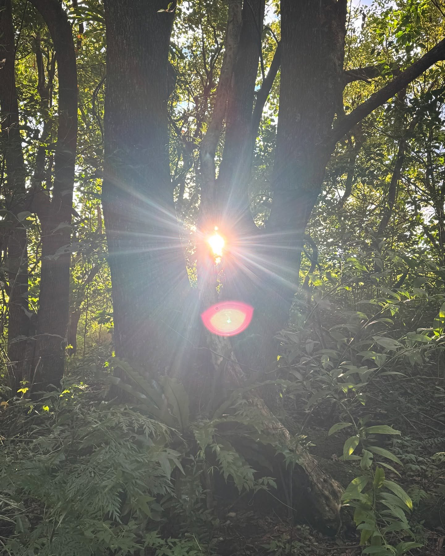 Some days all that is asked of you is, 
to surrender&mdash; 
your doing ways. 
And instead; look for the light, 
allow yourself to fall 
into new depths of faith, 
and trust. 
To remember that softening&mdash; 
into the unknown
&mdash; is all that&rs