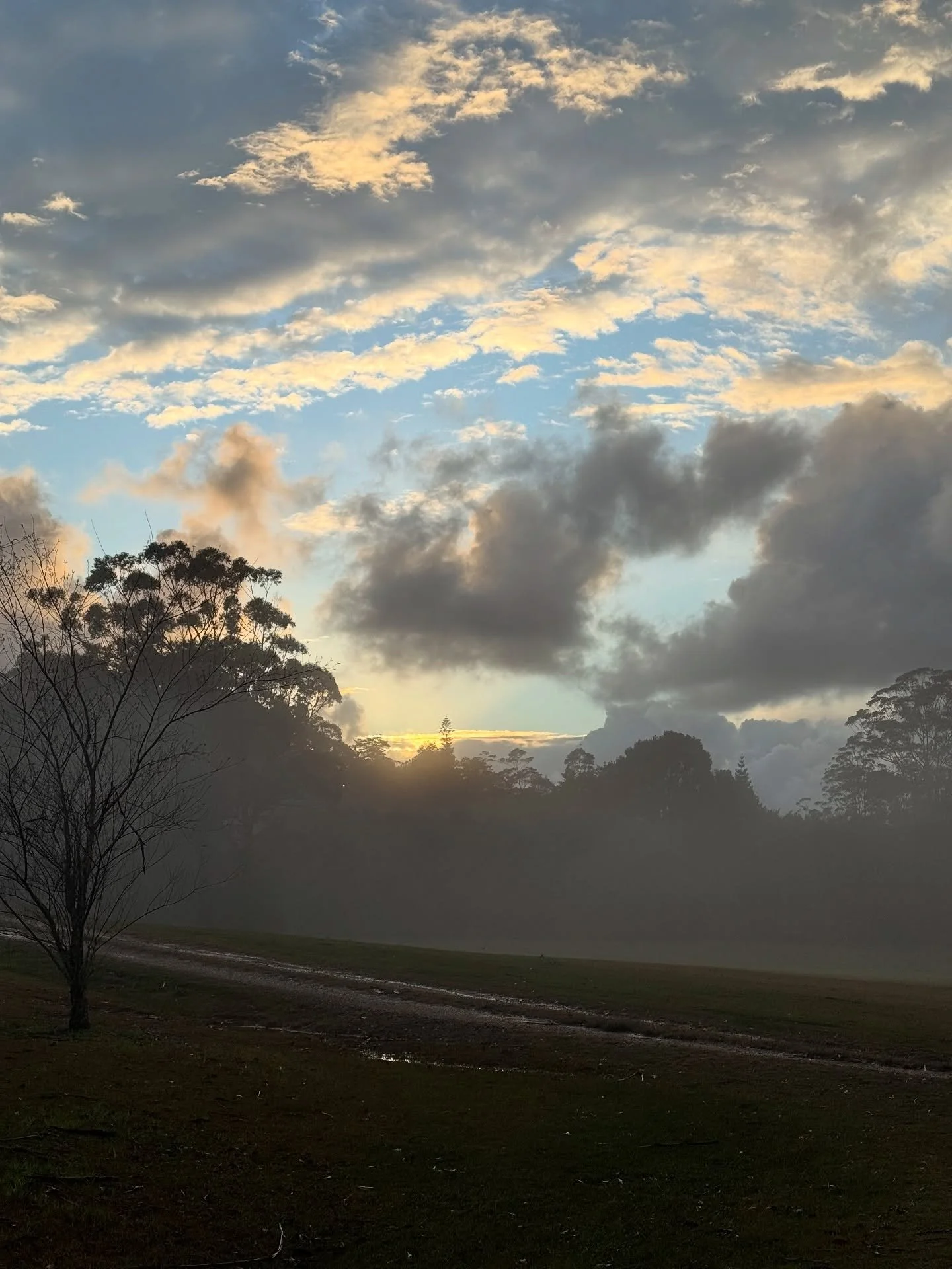 this morning&rsquo;s little sliver of light, and a little story ✨

after a night of heavy rain and today&rsquo;s forecast for a whole lot more, when I set off for my morning walk, I scanned the sky, assessing the clouds&mdash; calculating the chances