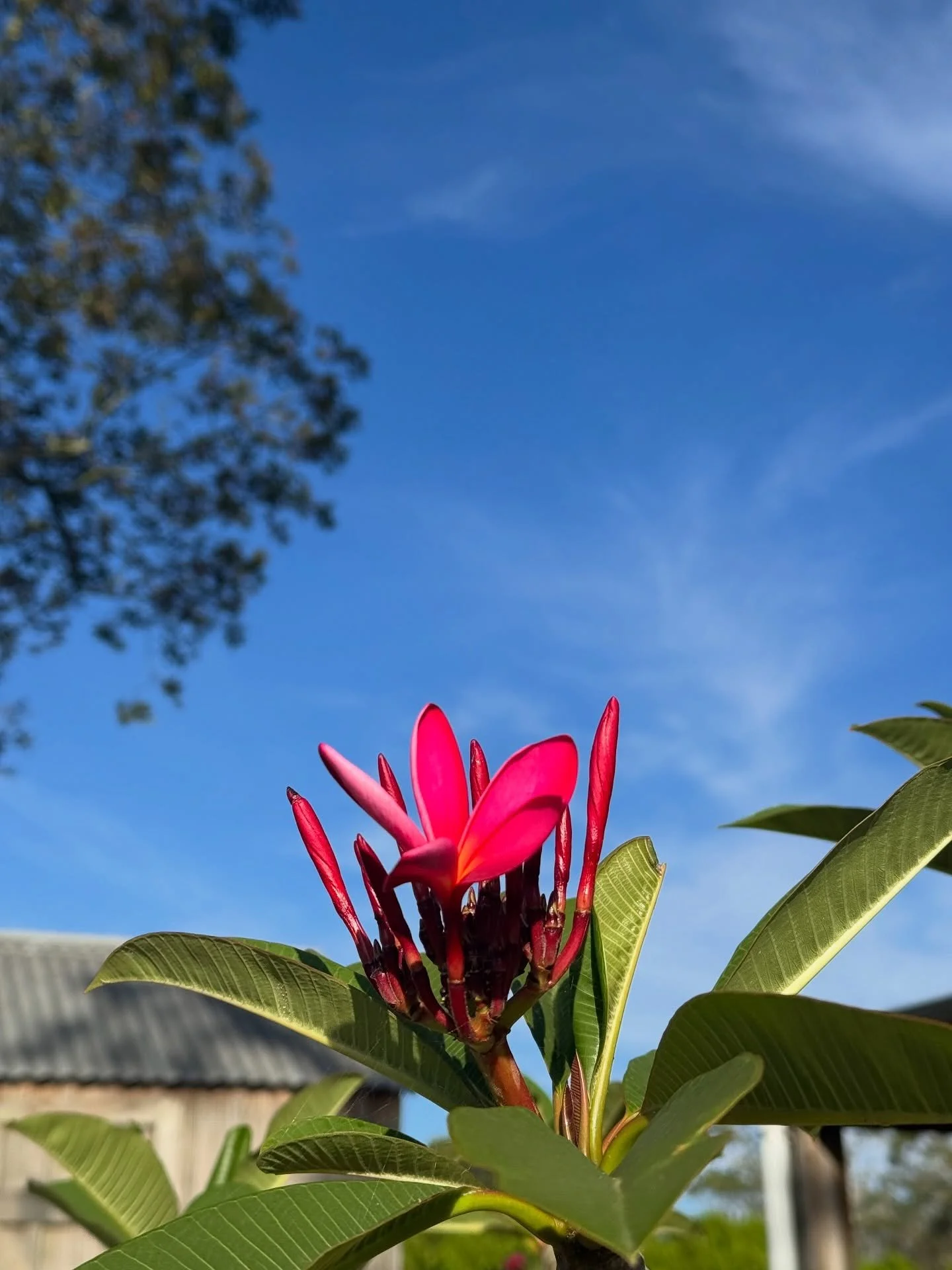 Some thoughts and reflections on Christmas, the close of the year, and what matters (most). ✨🎄❤️🙏🏼

It&rsquo;s how you touch people&rsquo;s lives and hearts, not how many &lsquo;likes&rsquo; or &lsquo;followers&rsquo; you have. 

It&rsquo;s how pe