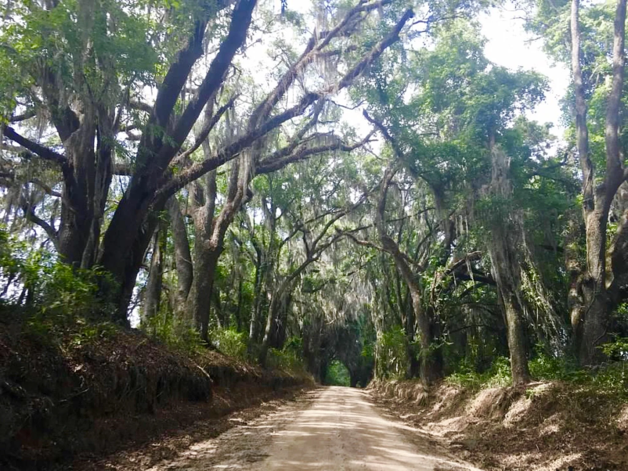 Jefferson County Florida Genealogy