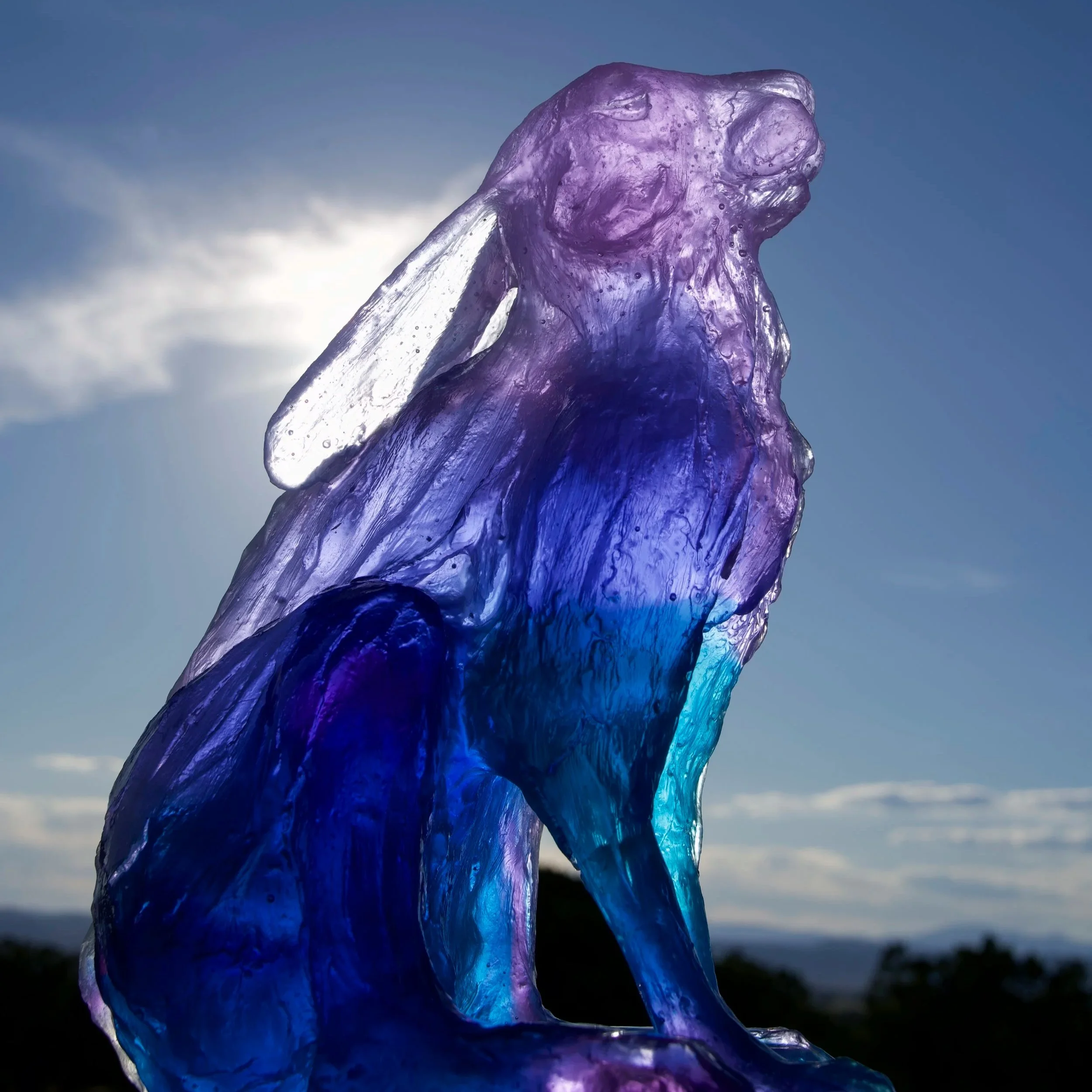 Jazmin Novak: After the Dark, Before the Light