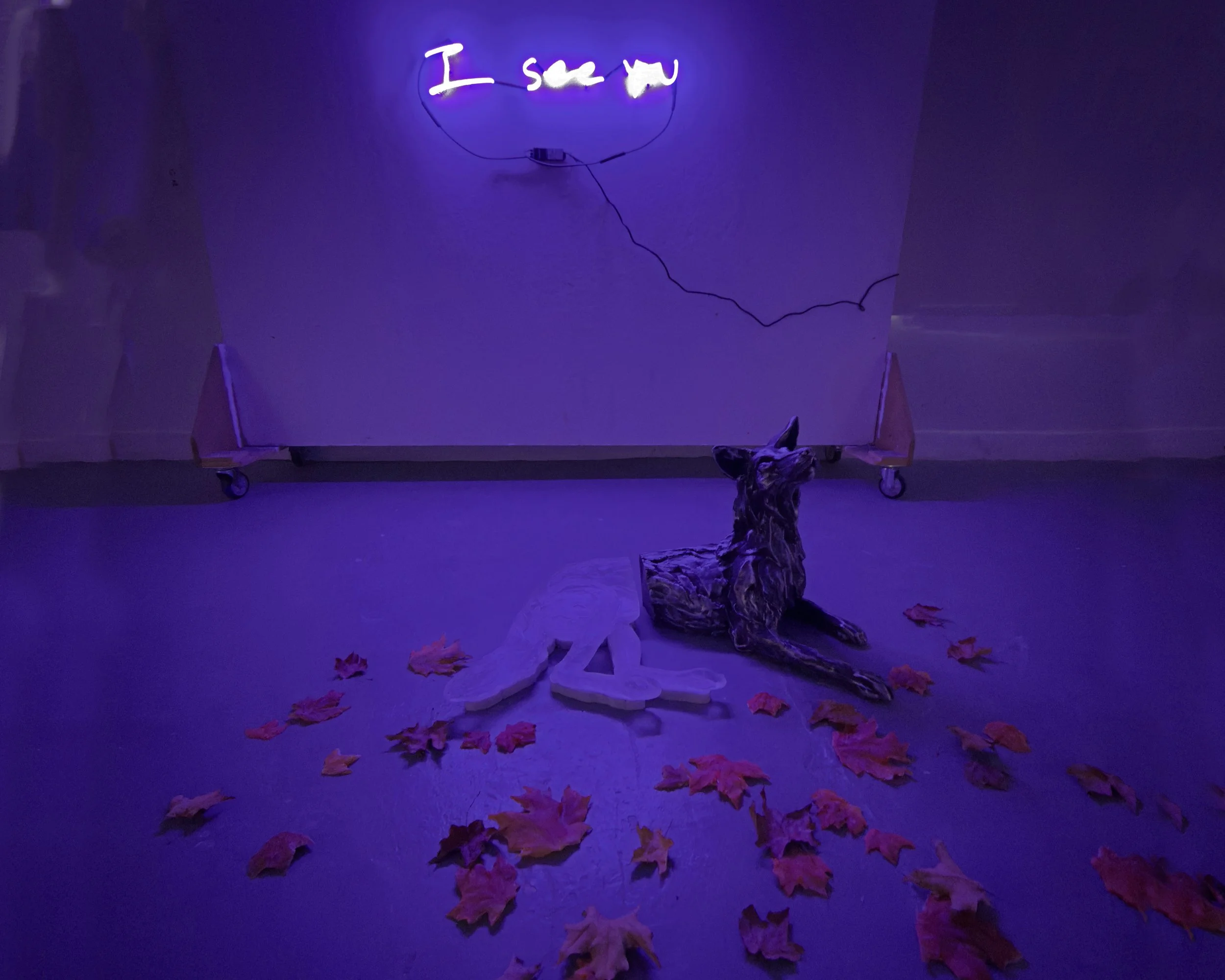 Jazmin Novak: Solo Exhibition - Big Happy, Santa Fe, NM