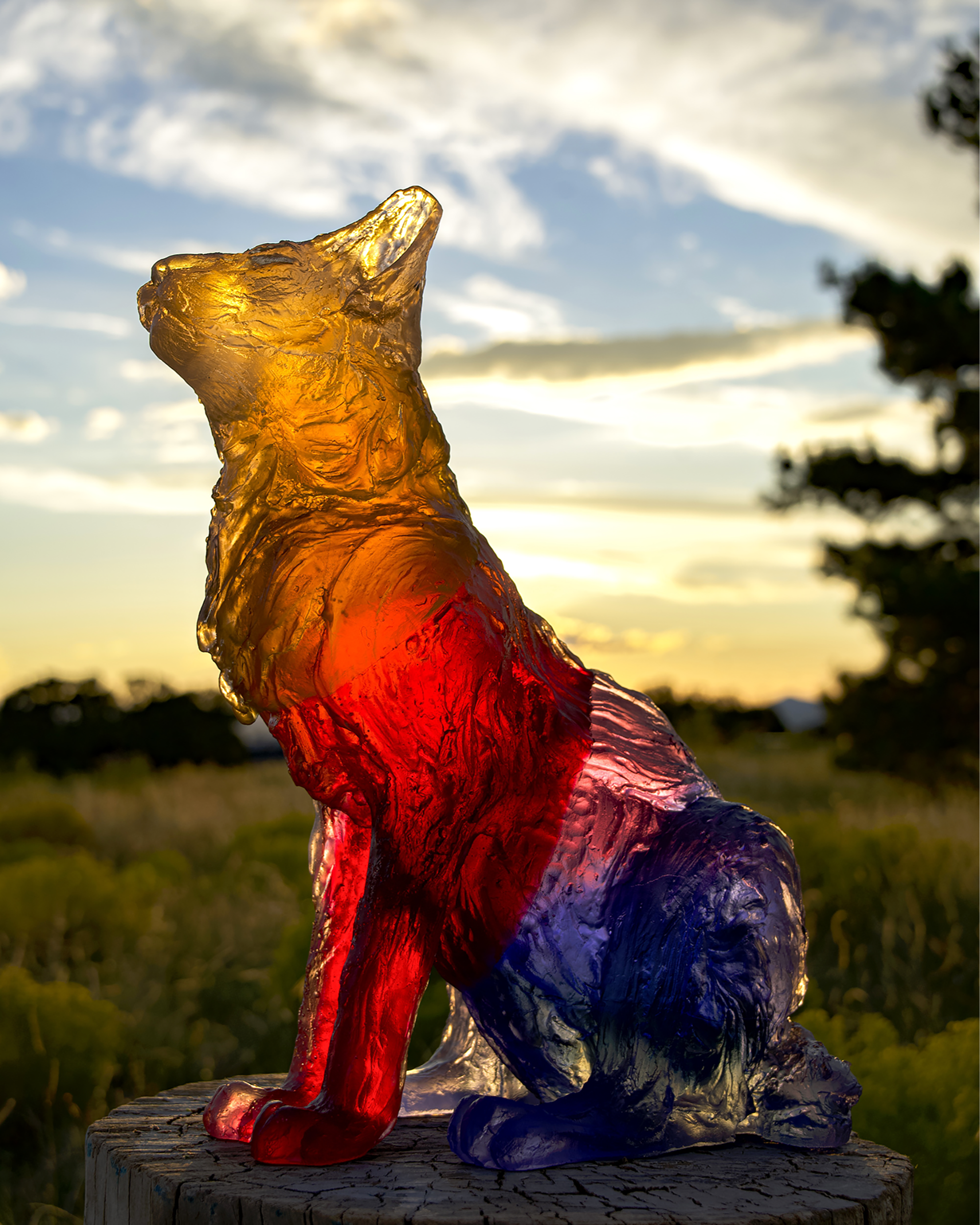 Jazmin Novak: Solo Exhibition - Big Happy, Santa Fe, NM