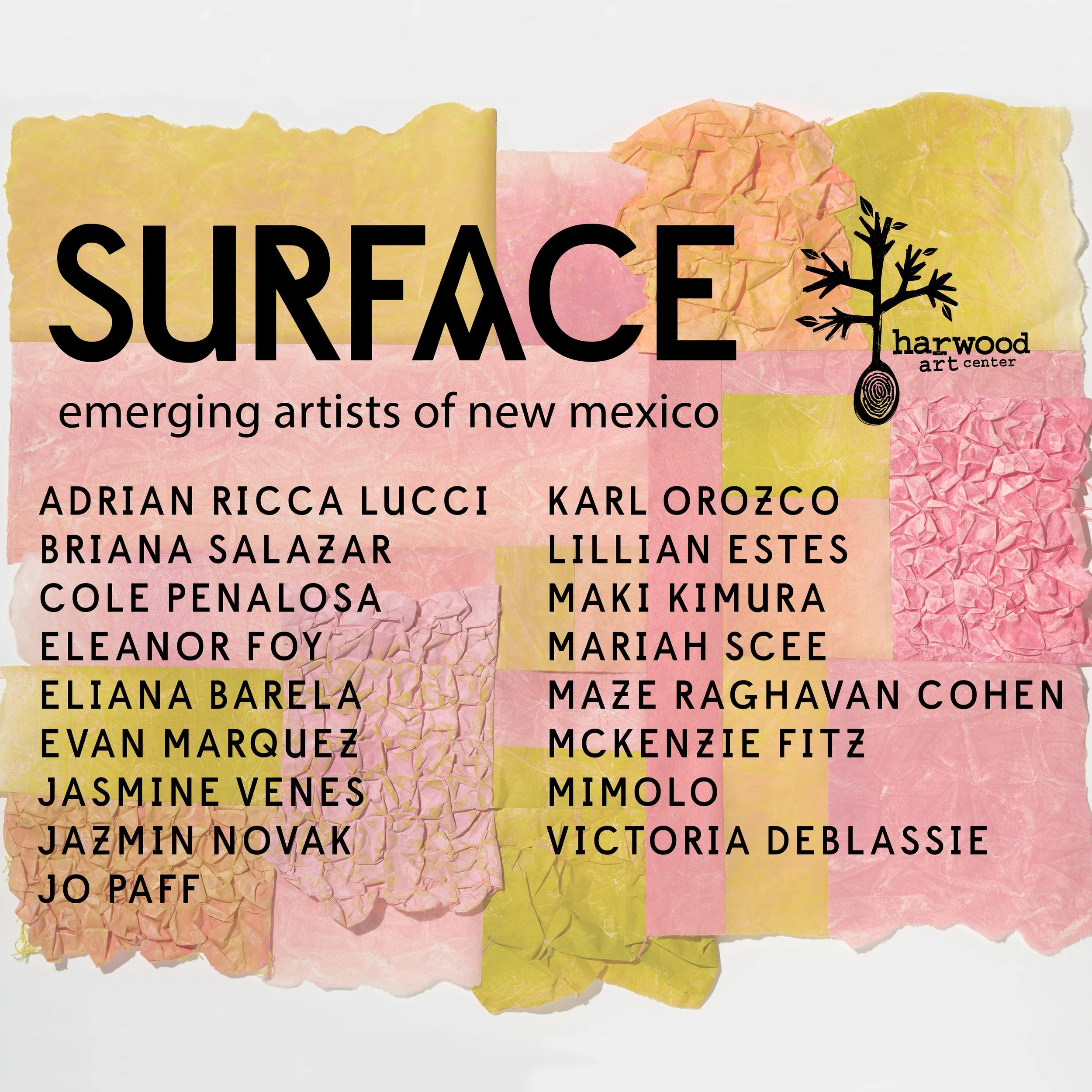 SURFACE: Emerging Artists of New Mexico - Harwood Art Center, Albuquerque, NM