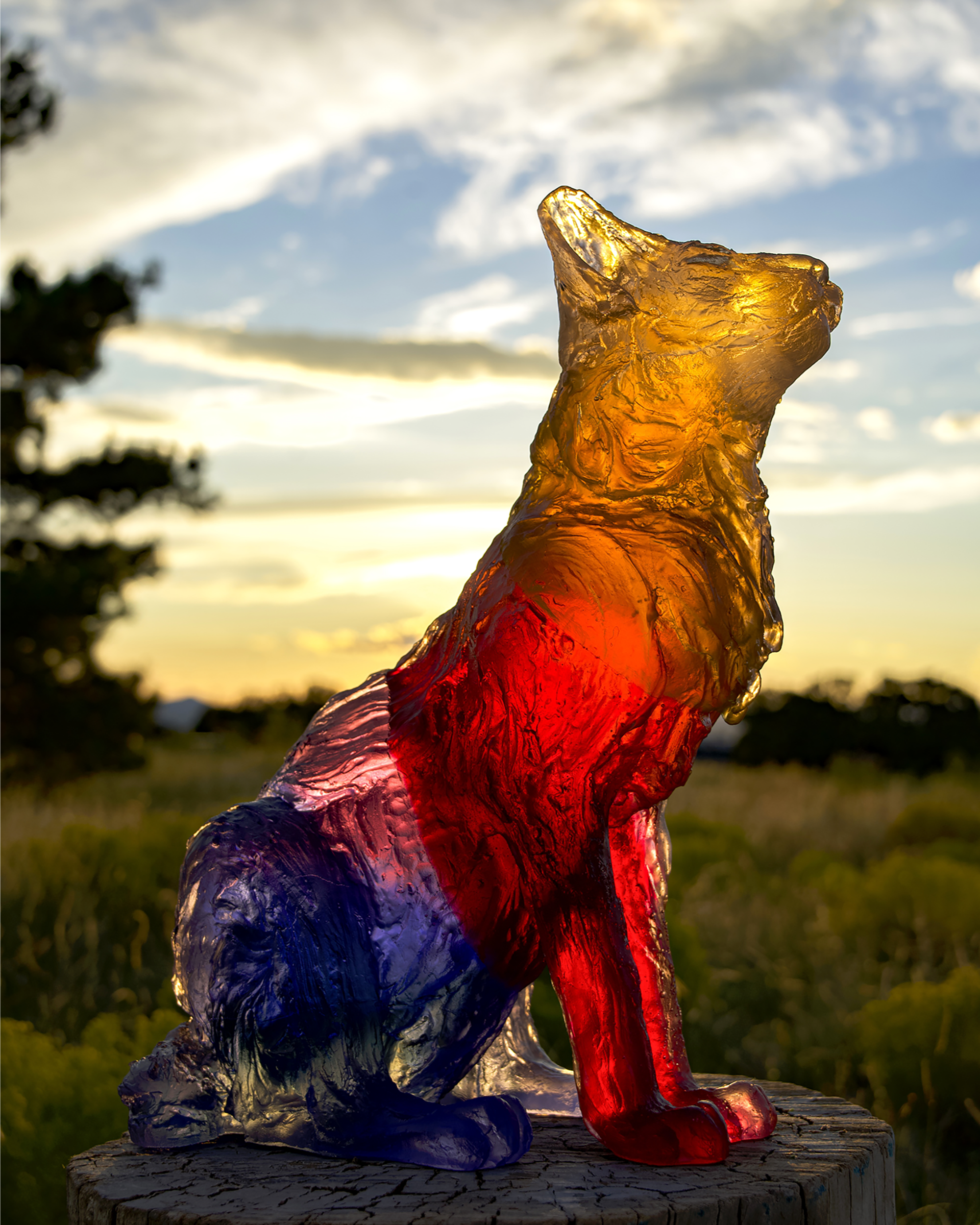 Jazmin Novak: Close to Home - Big Happy Gallery, Santa Fe, NM