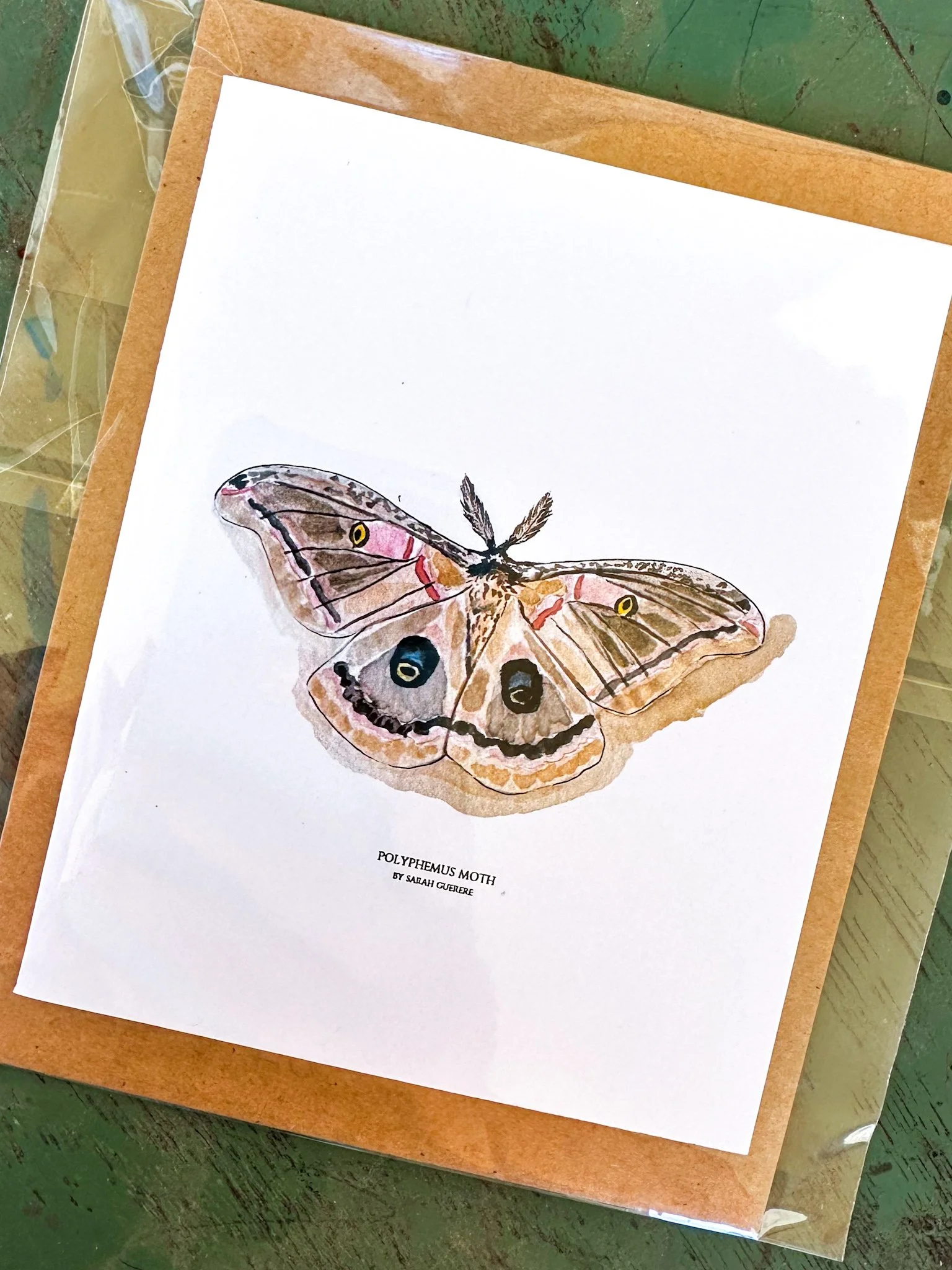 Polyphemus Moth - Greeting Card