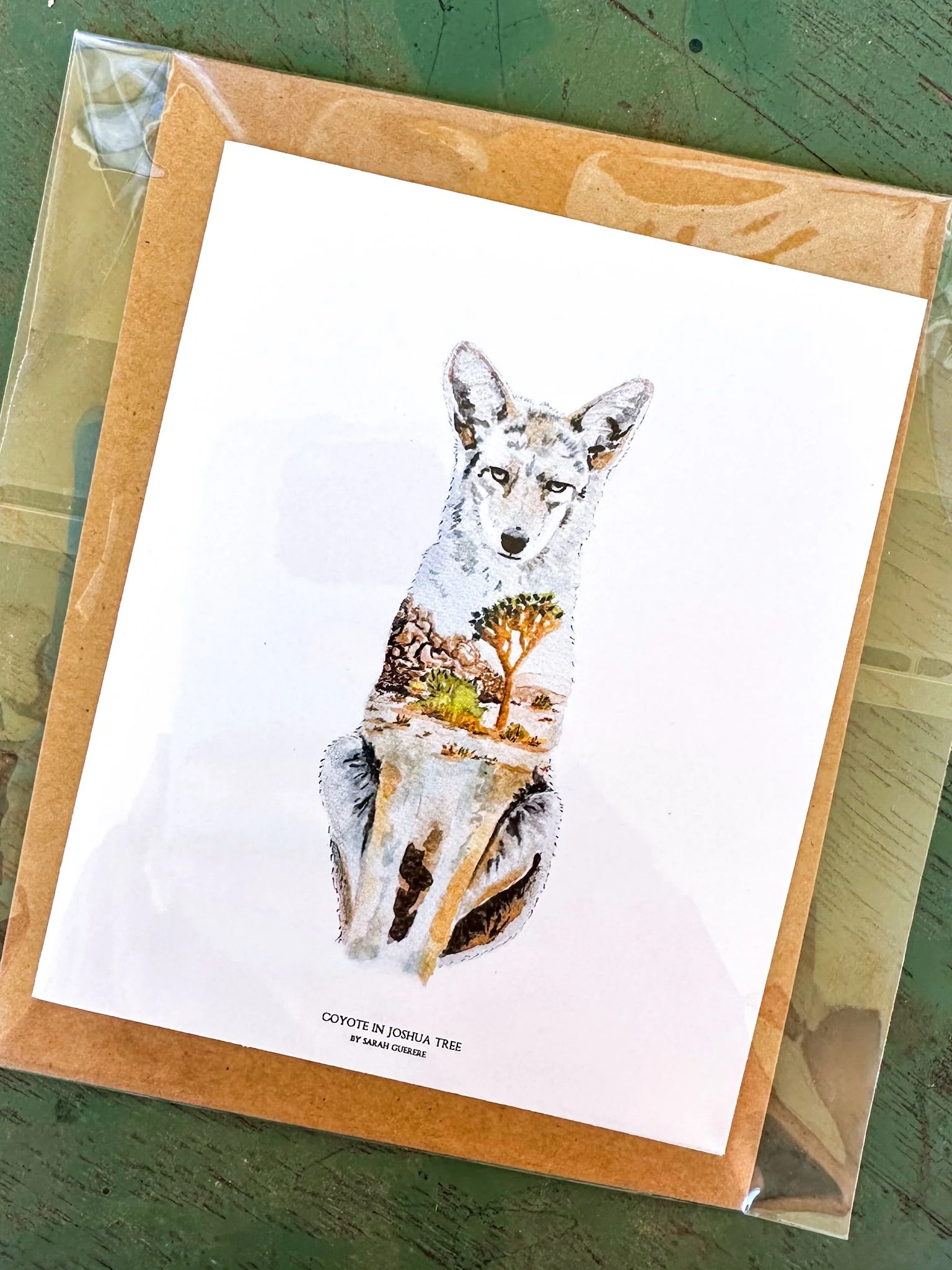 Coyote in Joshua Tree - Greeting Card