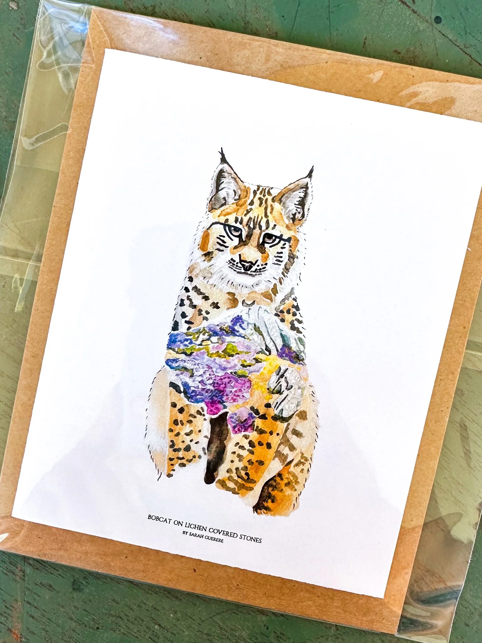 Bobcat on Lichen Covered Stones - Greeting Card