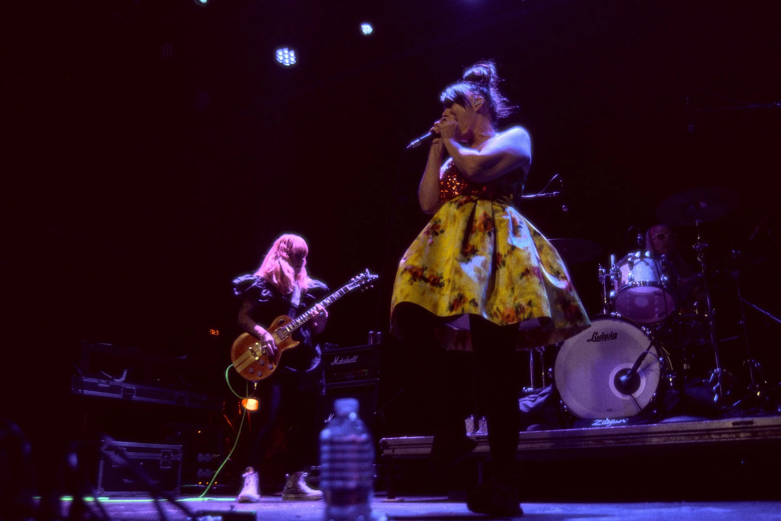 Breeze Bikini Kill 24.jpg
