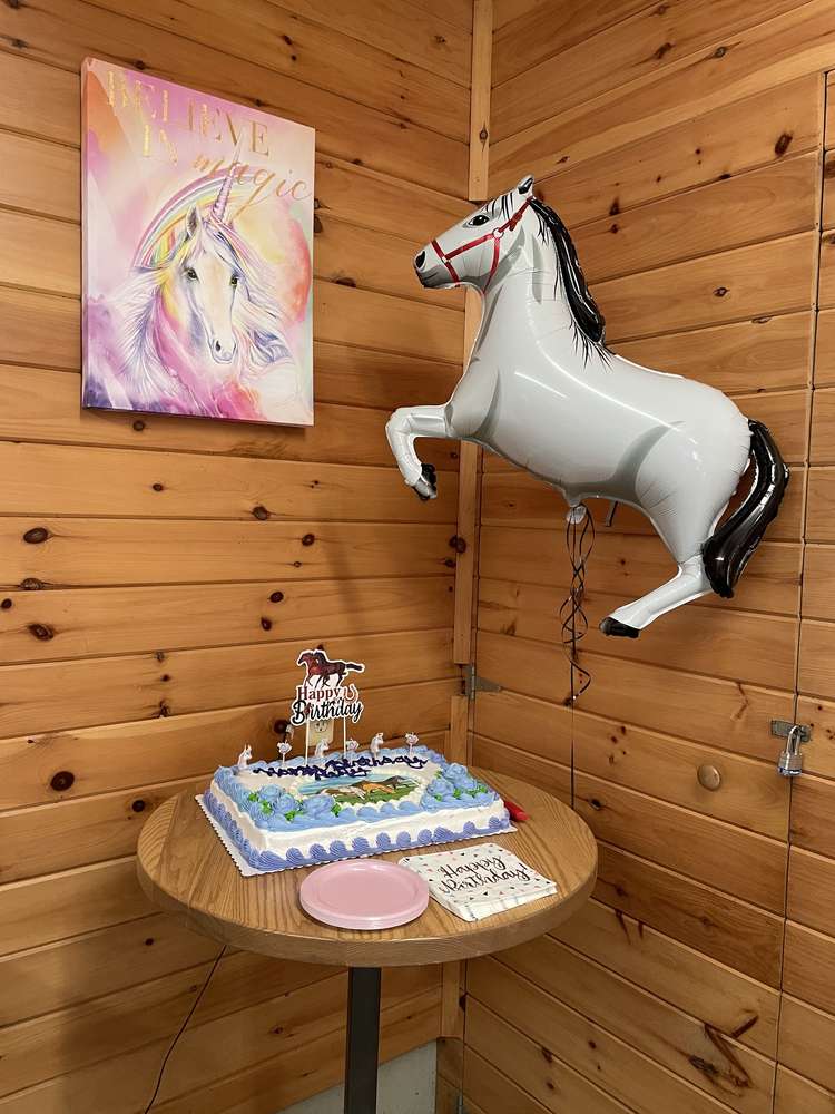 Pony Birthday Parties Dream Hill Farm, LLC