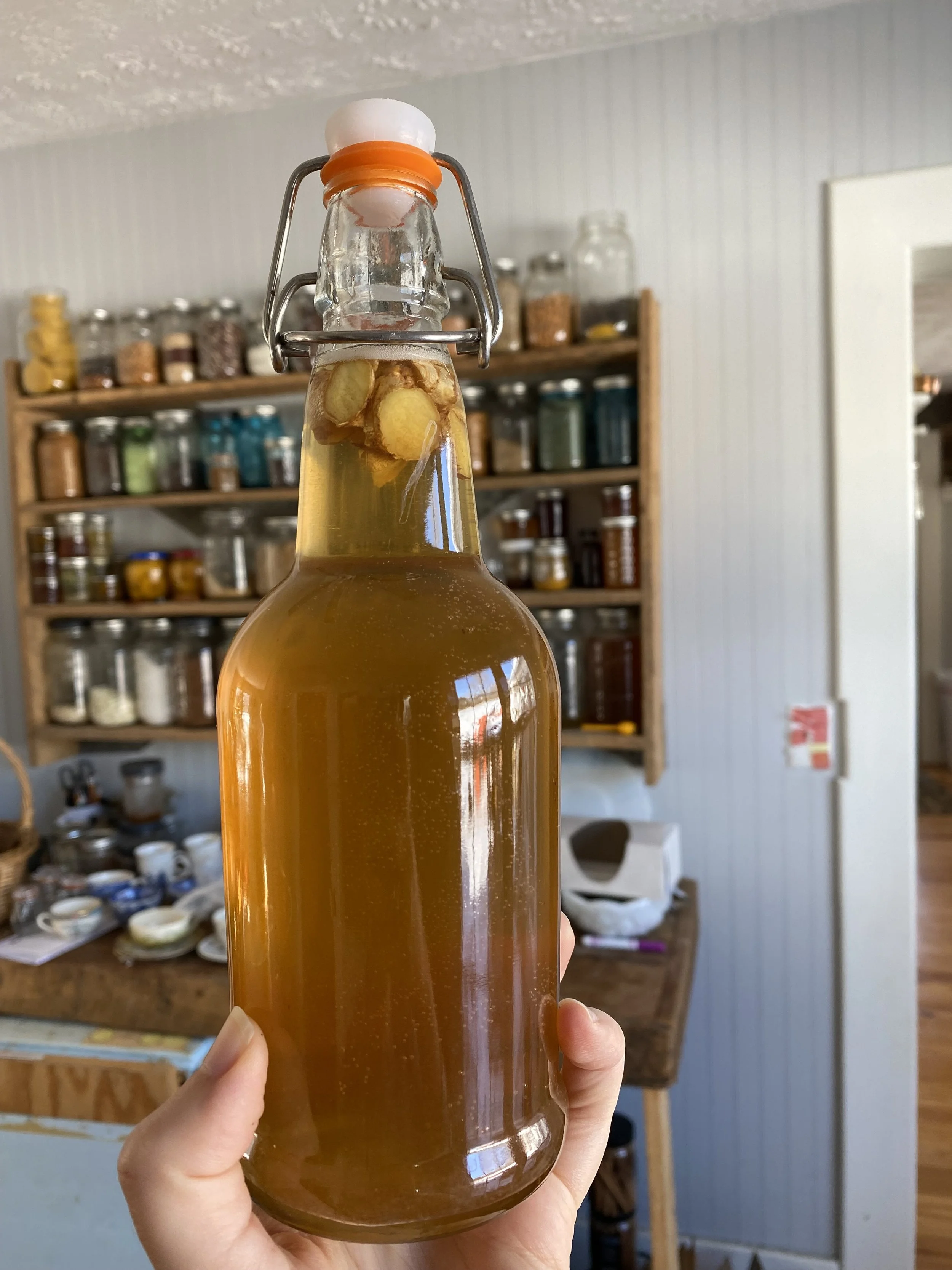 Fermentation: DRINKS Workshop