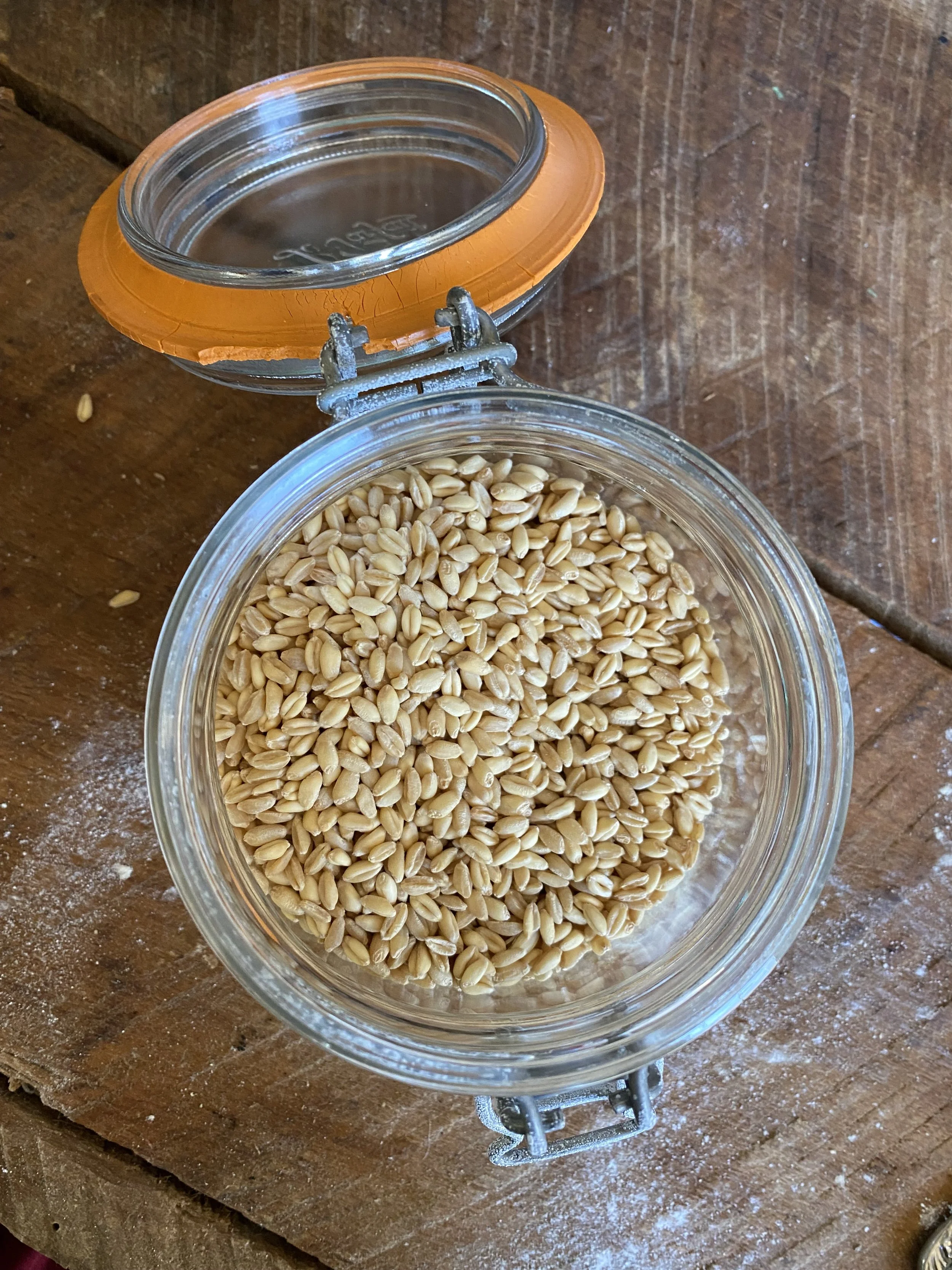 Fresh Milled Grains Workshop