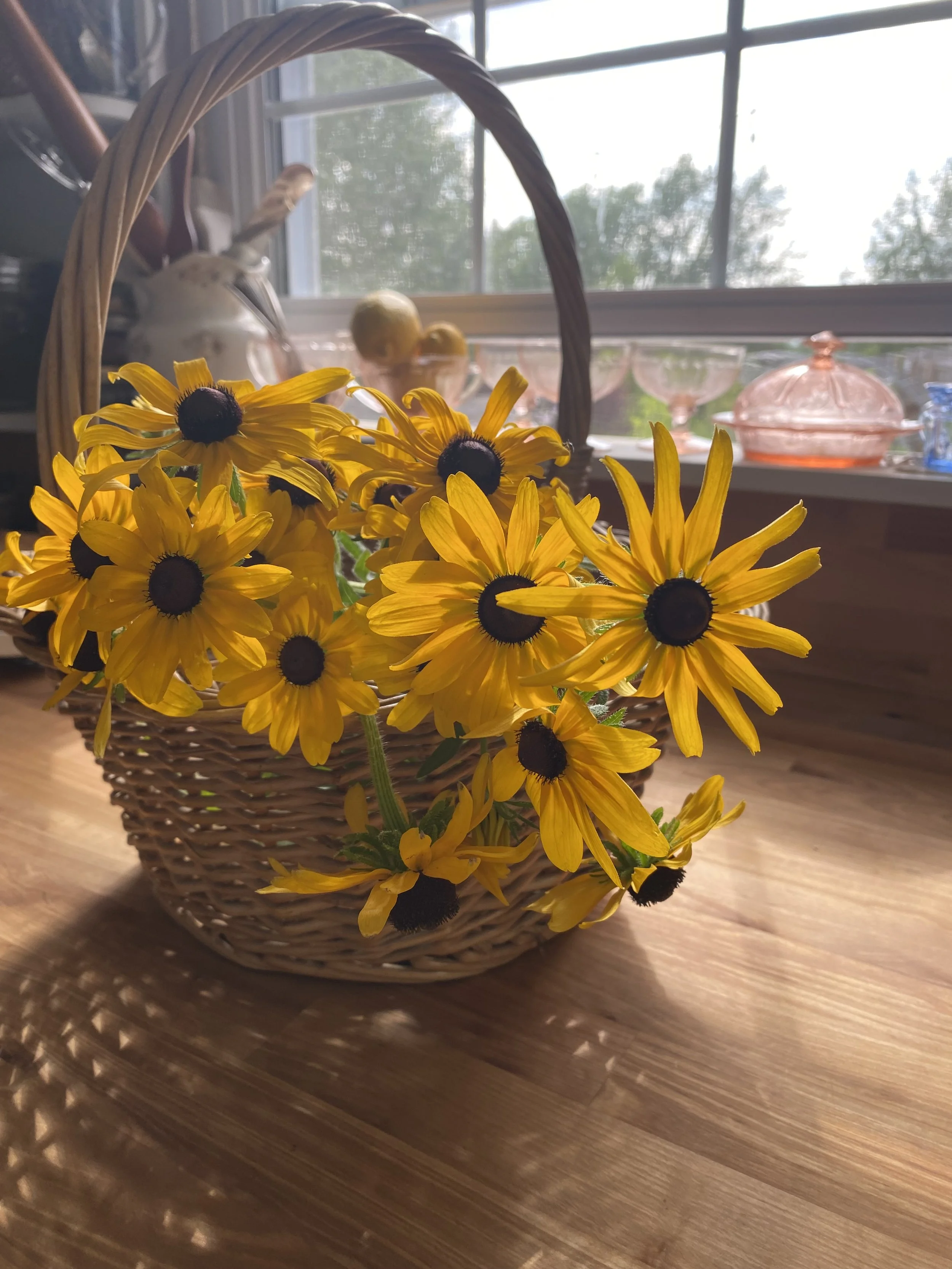 IMG_5205.jpeg