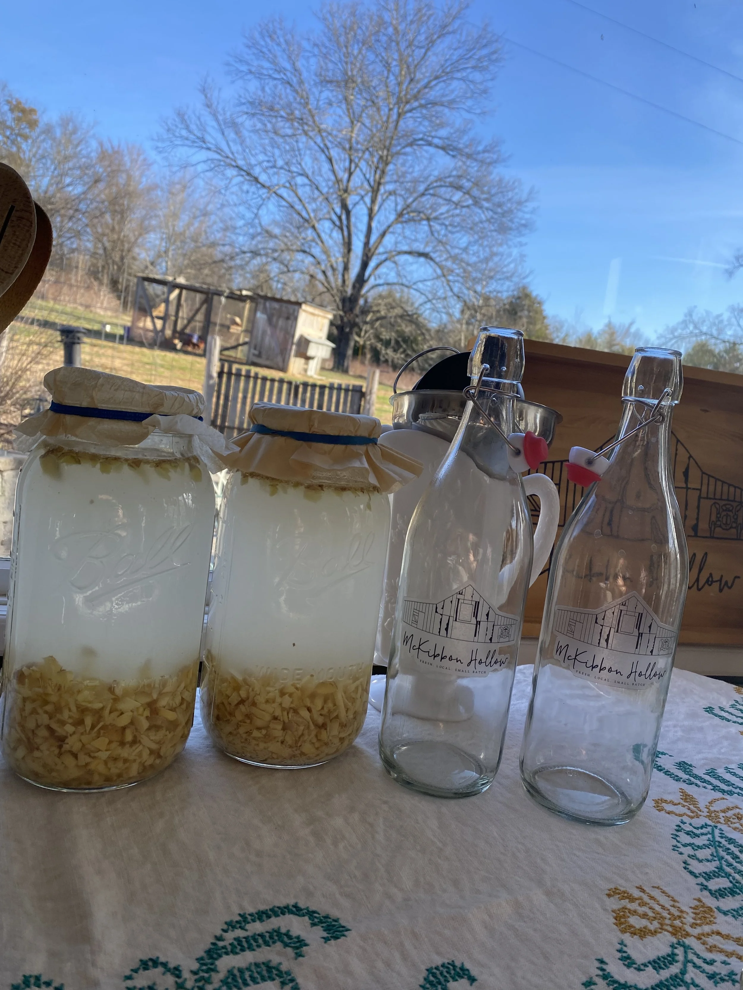 Fermentation Workshop - Drinks