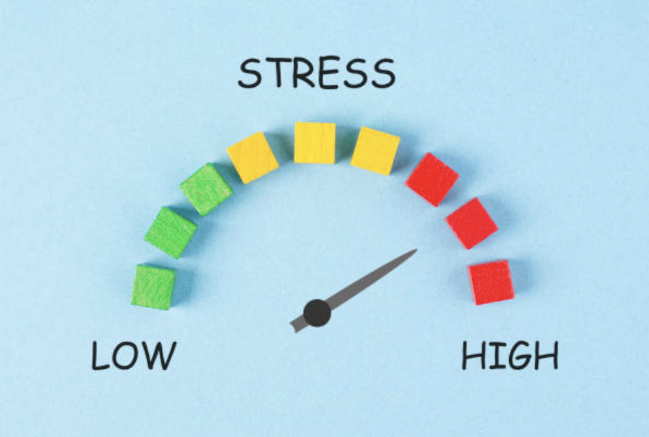 Hormonal Havoc: How Chronic Stress Impacts Ovulation, Progesterone, Testosterone, and Libido
