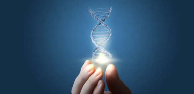 MTHFR vs Methylation?