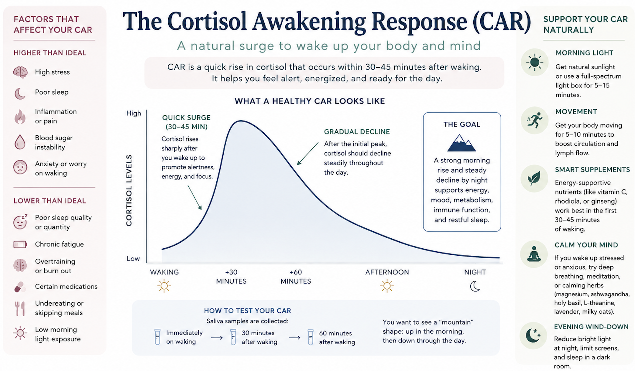 How Do You Feel On Waking: Understanding The CAR