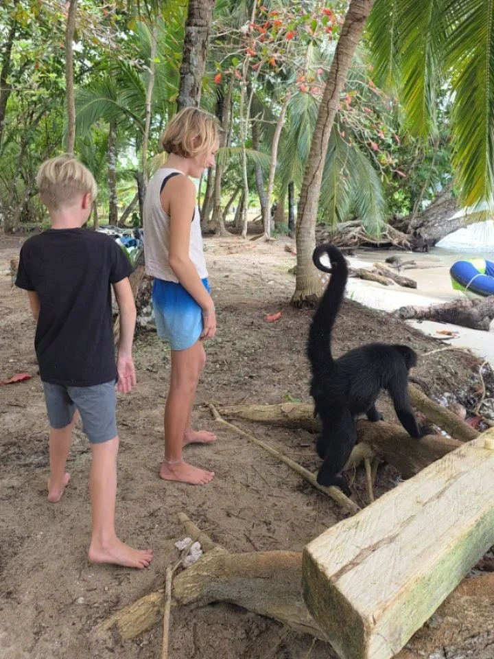 Yesterday we stopped by Isla Linton to visit a very popular monkey. We never caught her name, but she&rsquo;s clearly used to tour boats stopping by to say hello. She was especially entertained by Aria, the moneky mimicked her several times.

Locals 