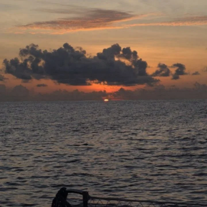 Last night watch on our passage to the Gal&aacute;pagos. 🌙

At midnight, we were woken by the skipper with a message straight from Neptune himself -> we were crossing the equator! Aria rang the bell to mark the milestone, and Neptune graciously a