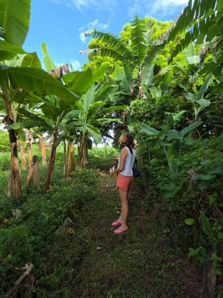 Yesterday turned into a catch up on homeschool kind of day. Not just the Kaikoa kids but the Busby kids too. So, we called a forced school day. Which, unsurprisingly, came with a side of unhappy kiddos. But we pushed through.

Knowing we&rsquo;d soon