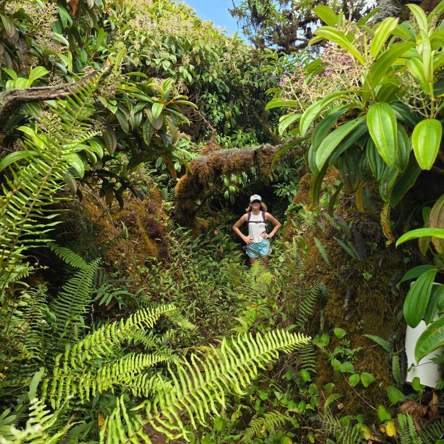 Such a fun day! We rented a 4x4 and headed up to El Junco Lagoon, hiking through the lush highlands where frigates and other birds come to bathe in the fresh water. The landscape was stunning! Layered in every shade of green, with incredible views ov
