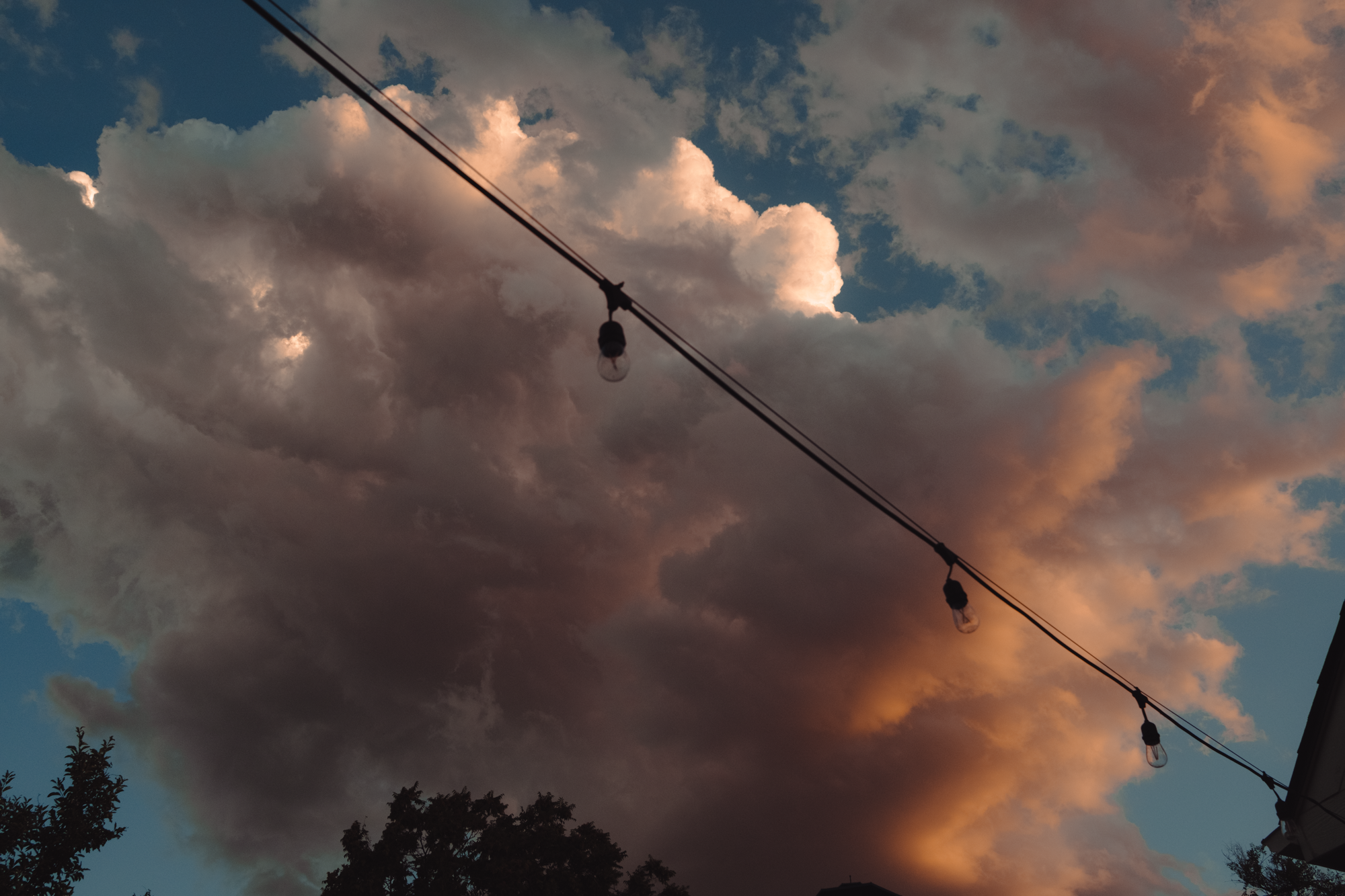 20240705-DSCF3993.png