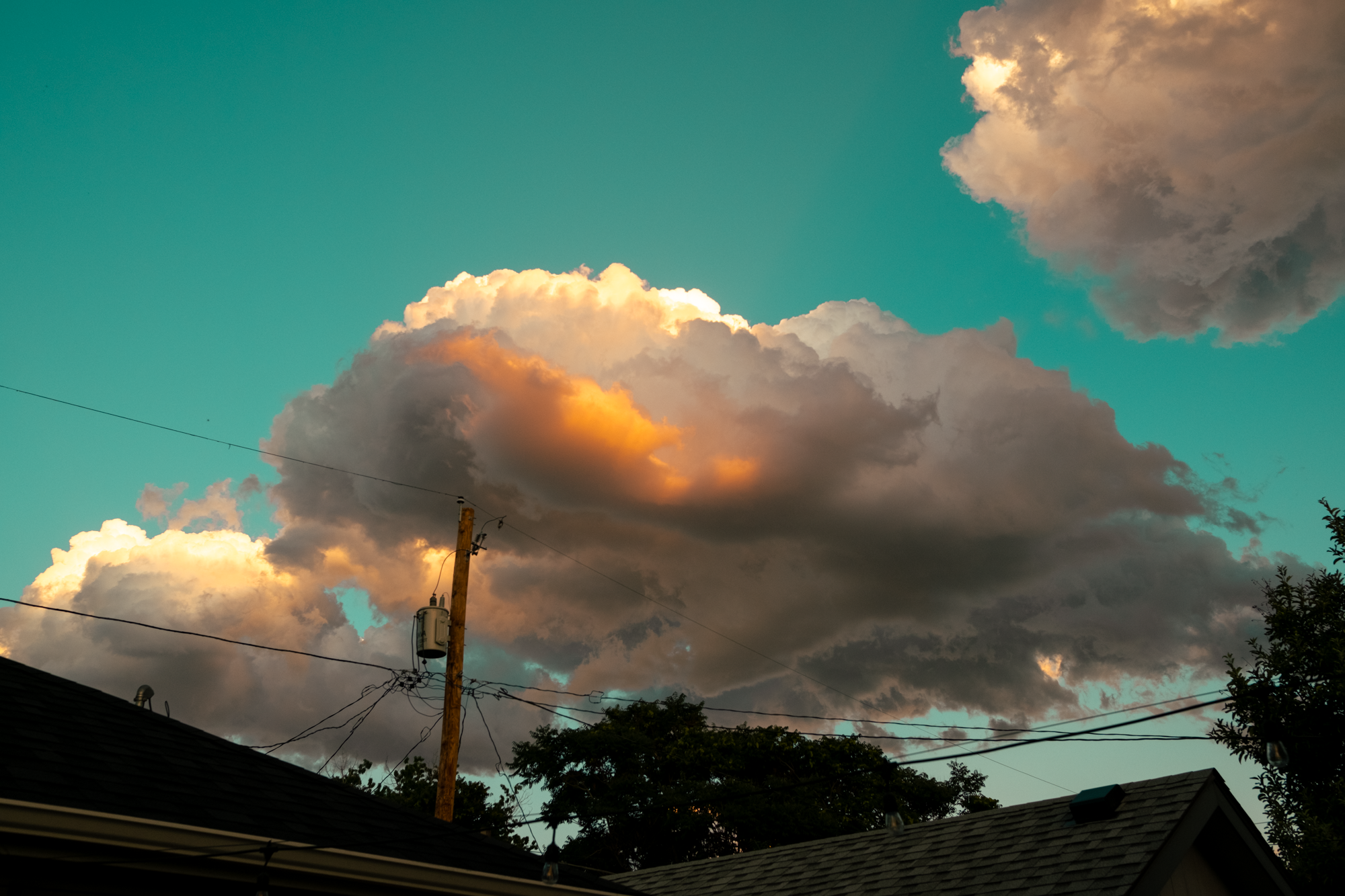 20240705-DSCF4002.png