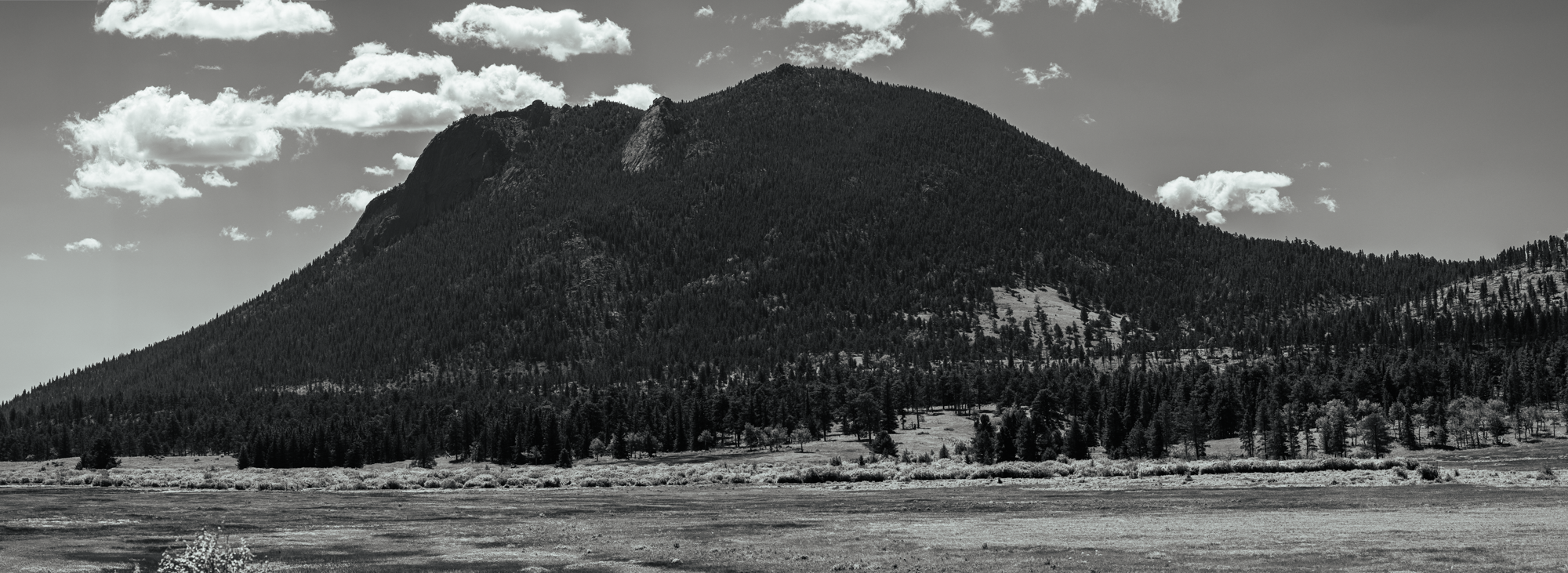 20240706-1M6A4301-Pano.png