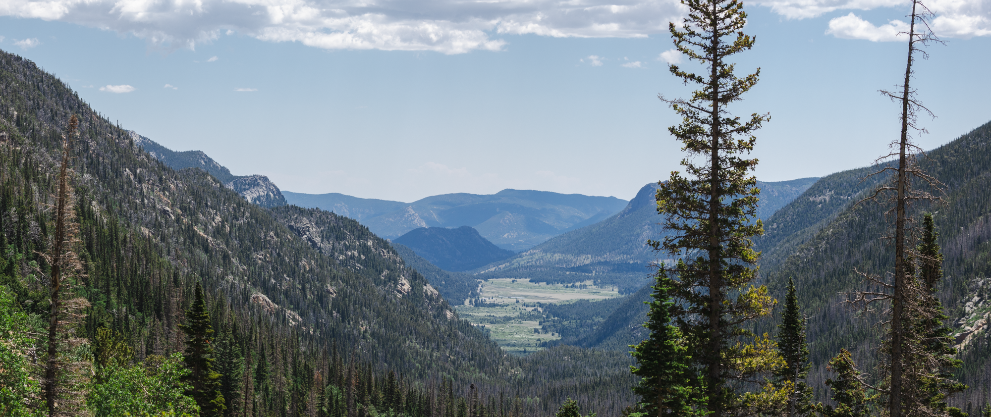 20240706-1M6A4423-Pano.png