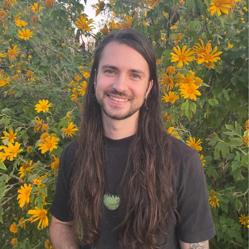 Radical in a sneaky way