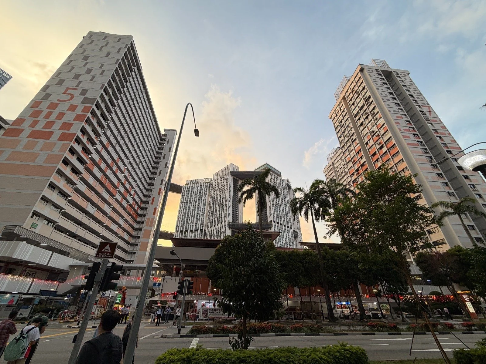 International Survey of Cultural Prescribing Initiatives and Trends — Singapore