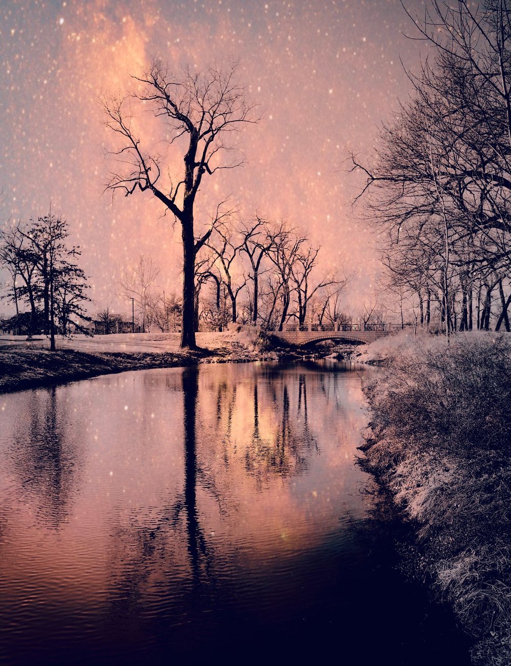 River: Ribbon of Life, Juried Show