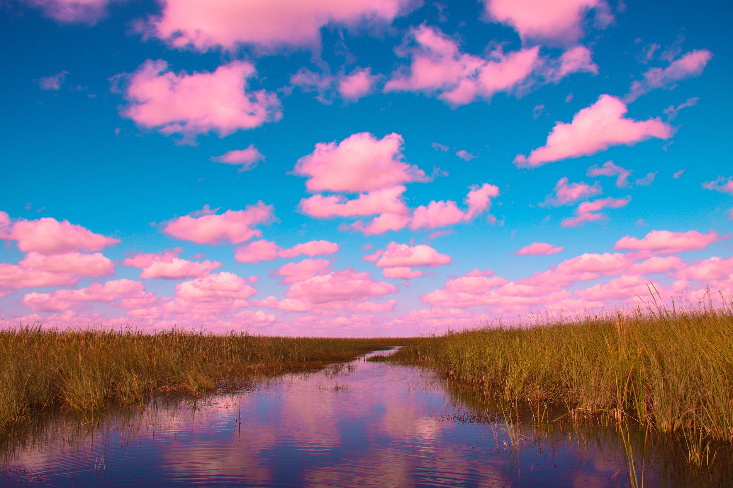 A peaceful wetland with tall grass on both sides reflecting pink clouds in a blue sky.