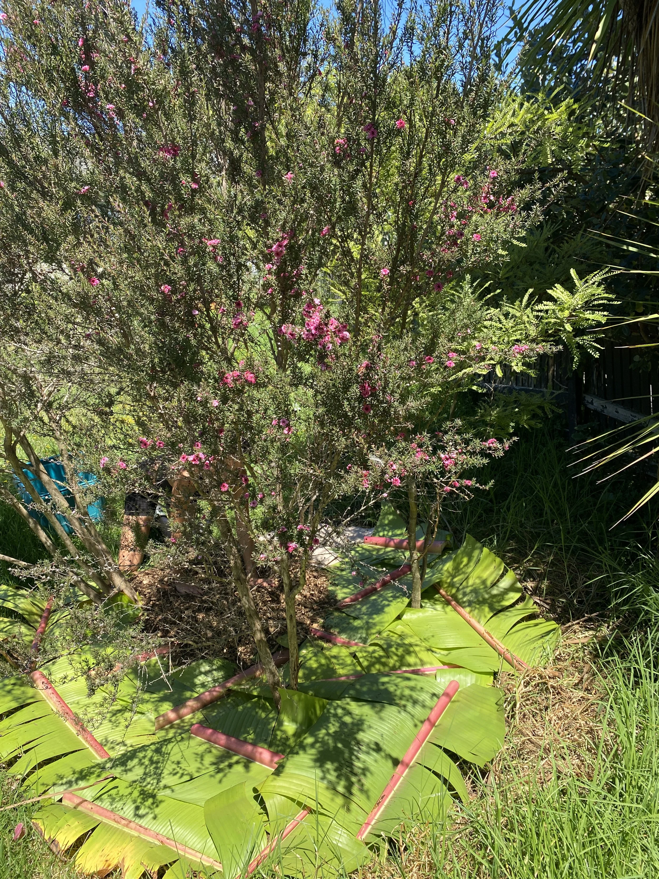 IMG_6390.jpeg