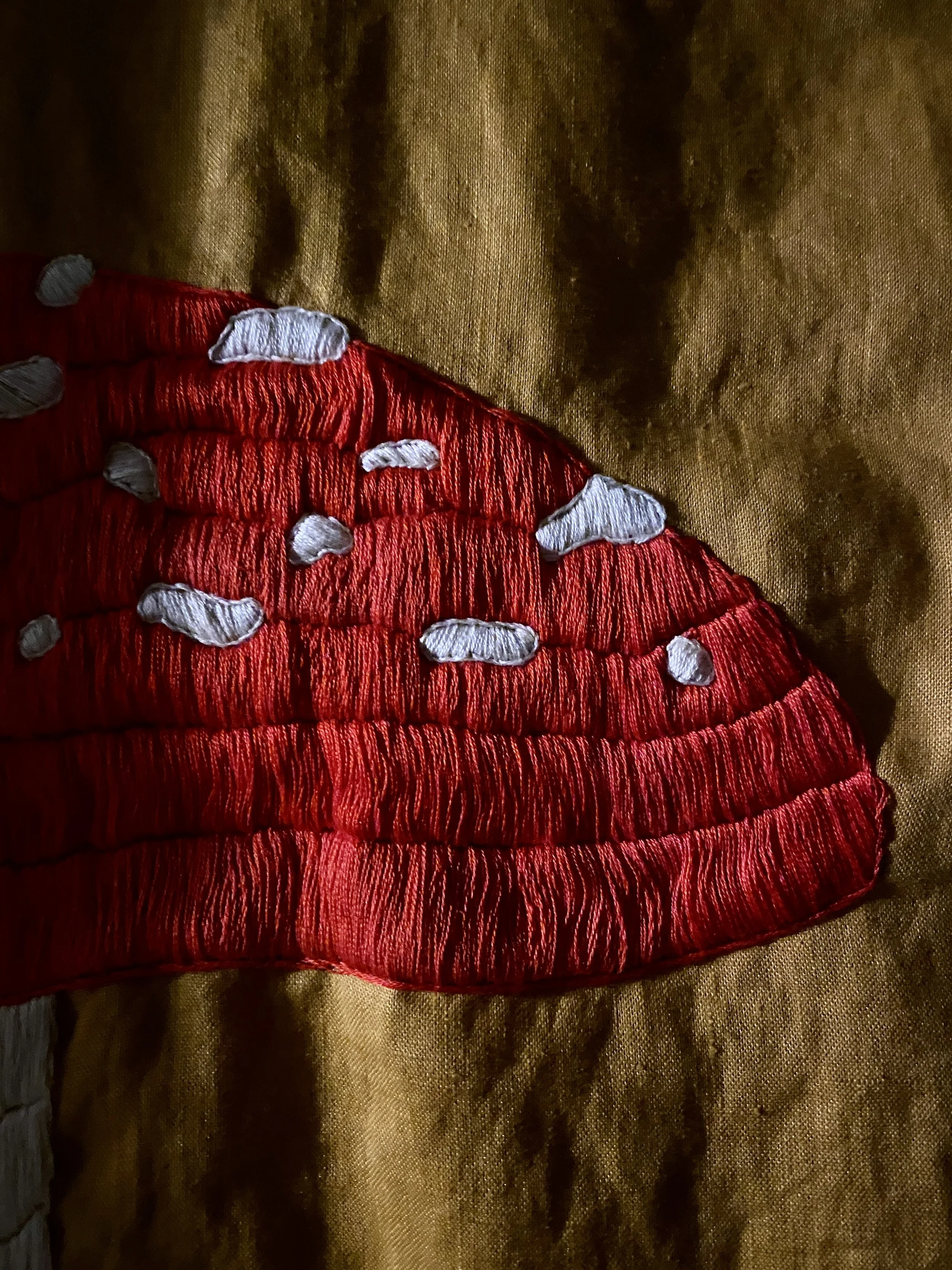 Flugsvamp