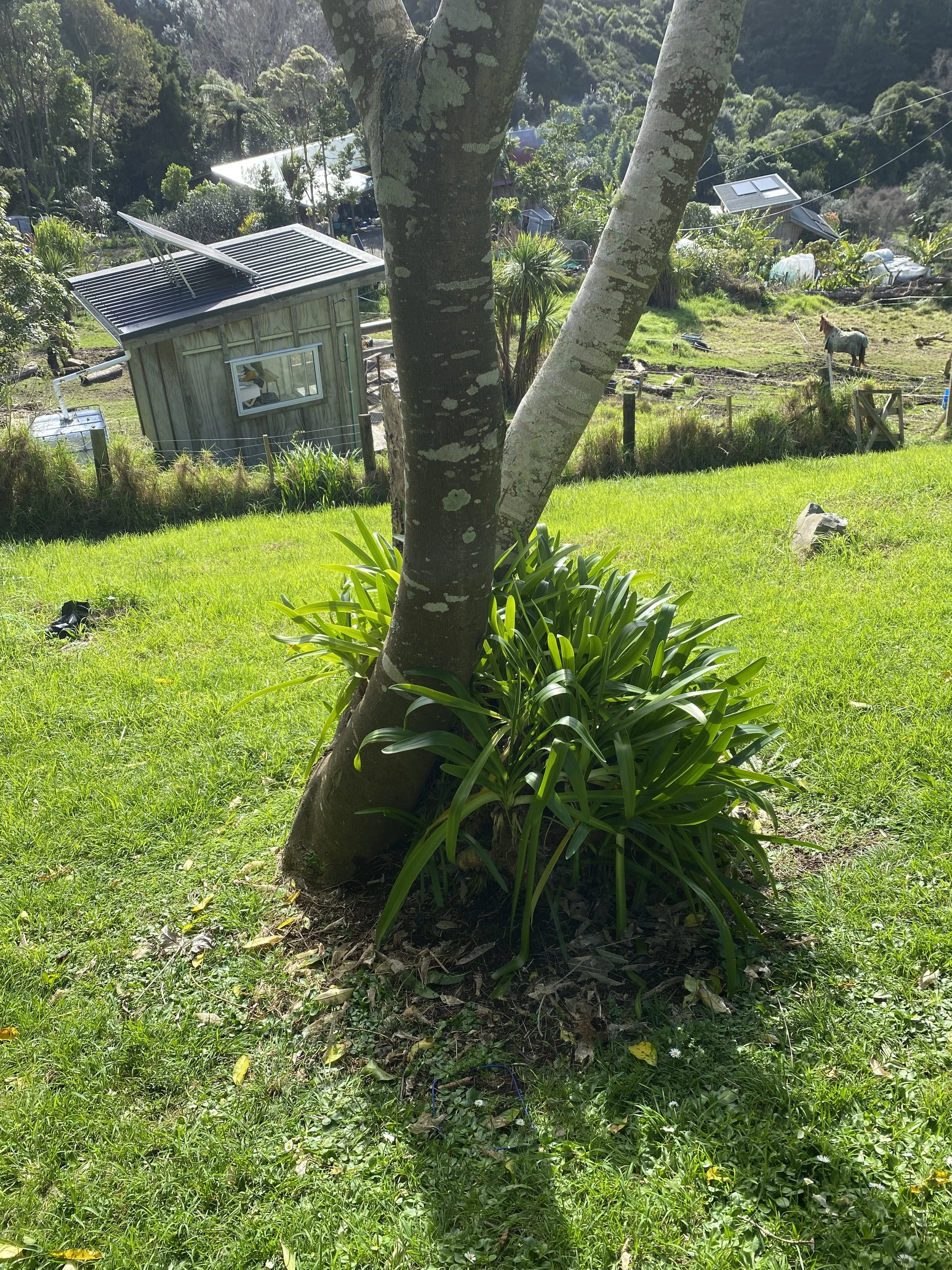 IMG_7564.jpeg