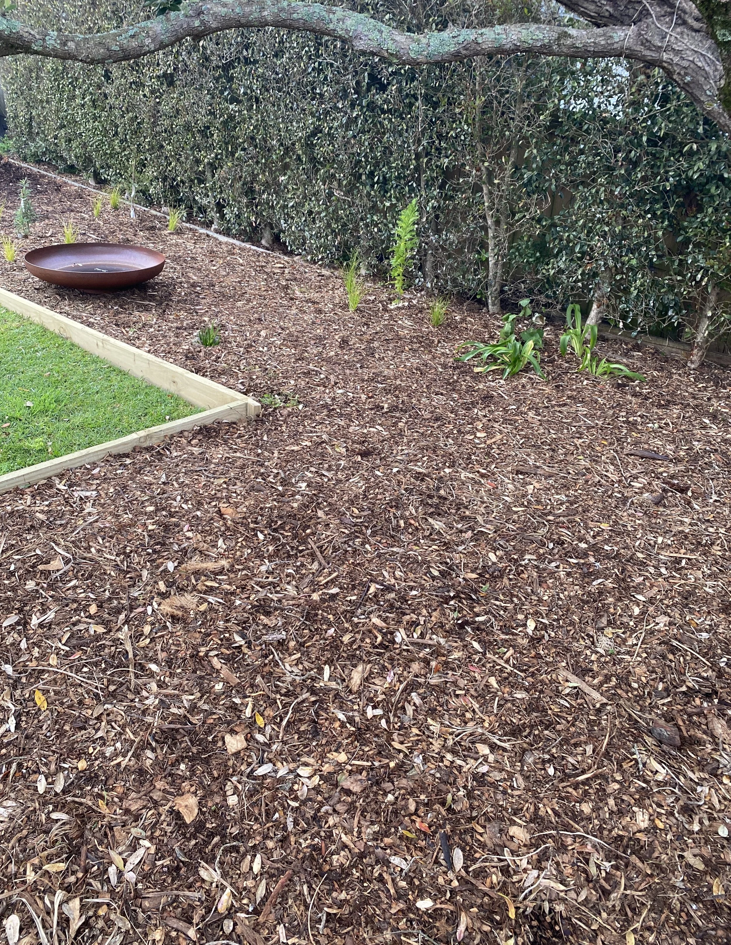 The perfect branch for a little swing in the new play corner - kona tākaro. As the native plants grow, a path will take form, leading to the glasshouse. 