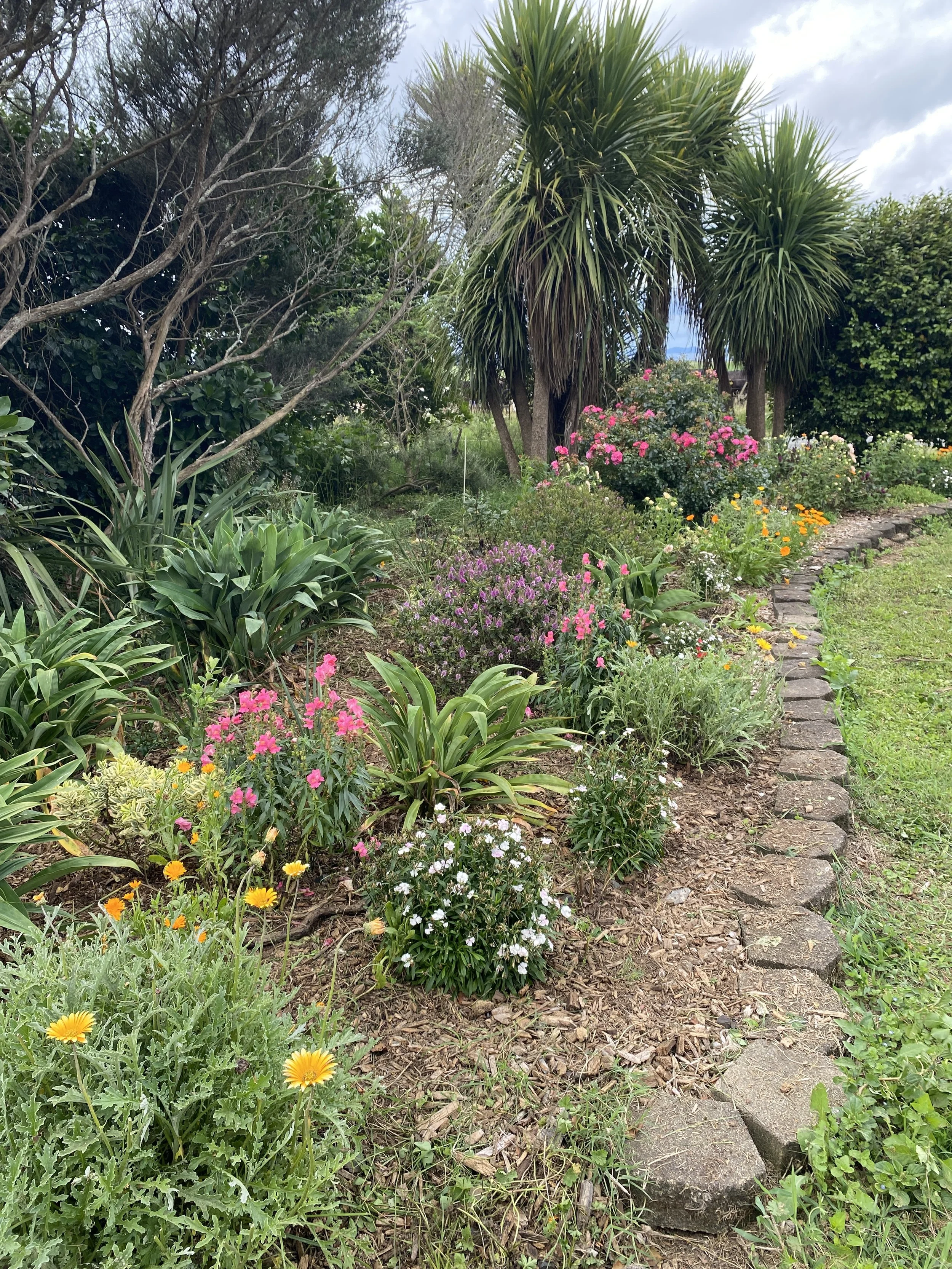 Big garden bed -February