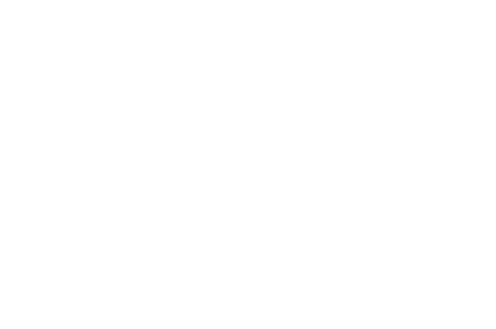 BEST CINEMATOGRAPHY - Golden Lemur - 2023.png