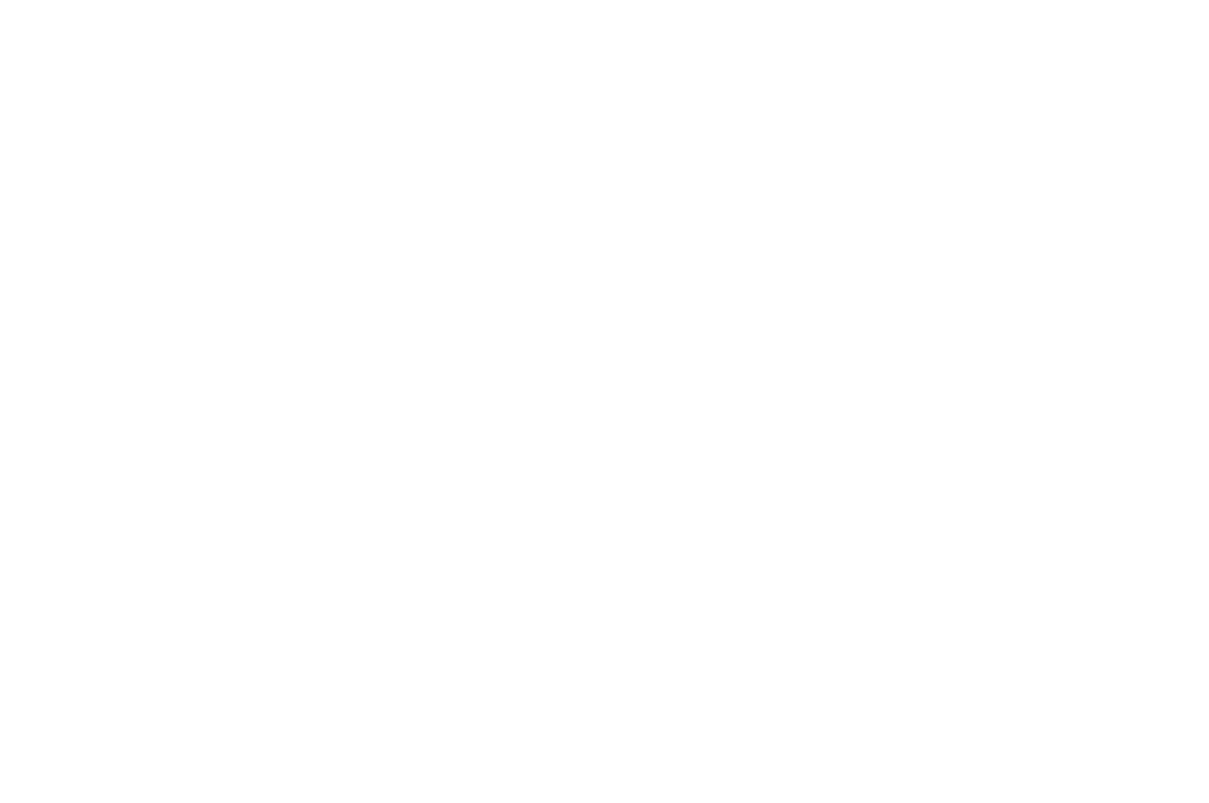 OFFICIAL SELECTION - Oniros Film Awards - 2023.png