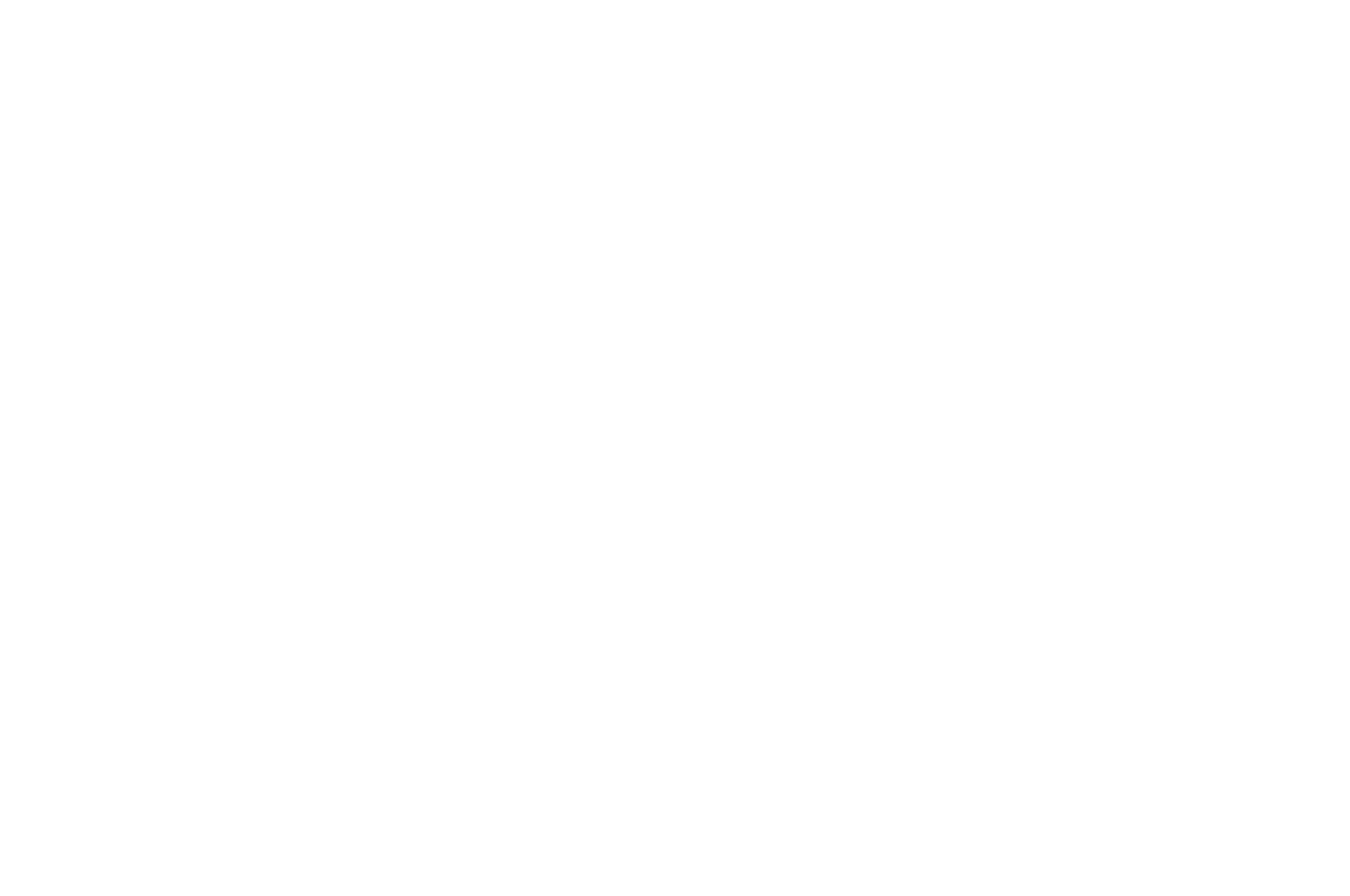 OFFICIAL SELECTION - Santa Monica Film Festival  - 2023.png