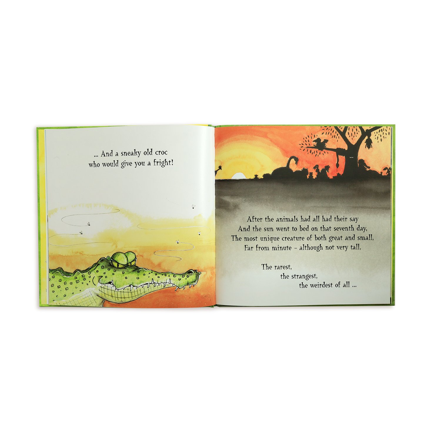Funky-Chicken-A-Bushy-Tale-of-Crocs-and-Chooks-Book-By-New-Shoots-Publishing-2.jpg