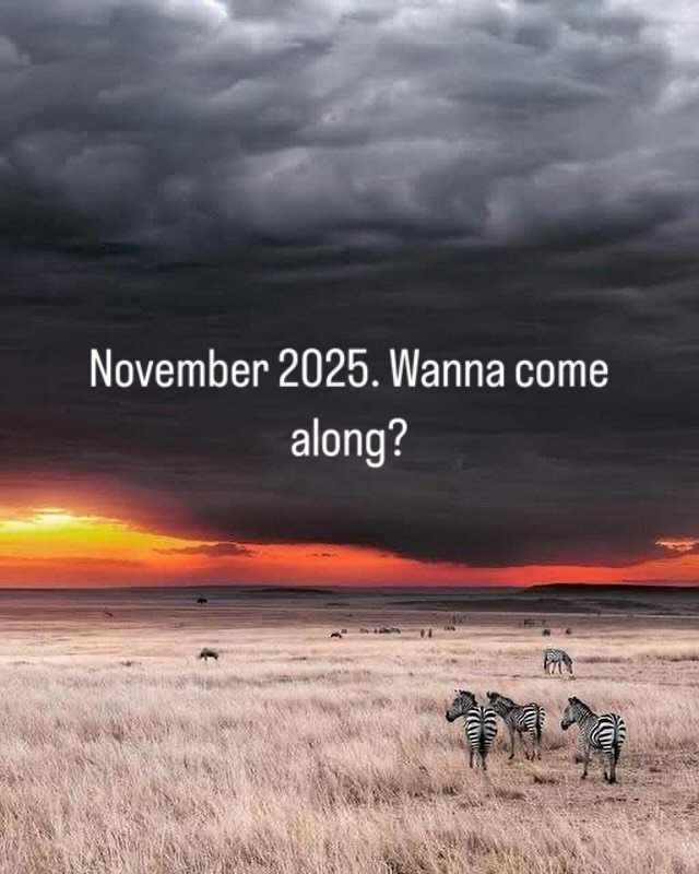Join me in Kenya and Tanzania in 2025. Email - Wayne@travelwithhamilton.com