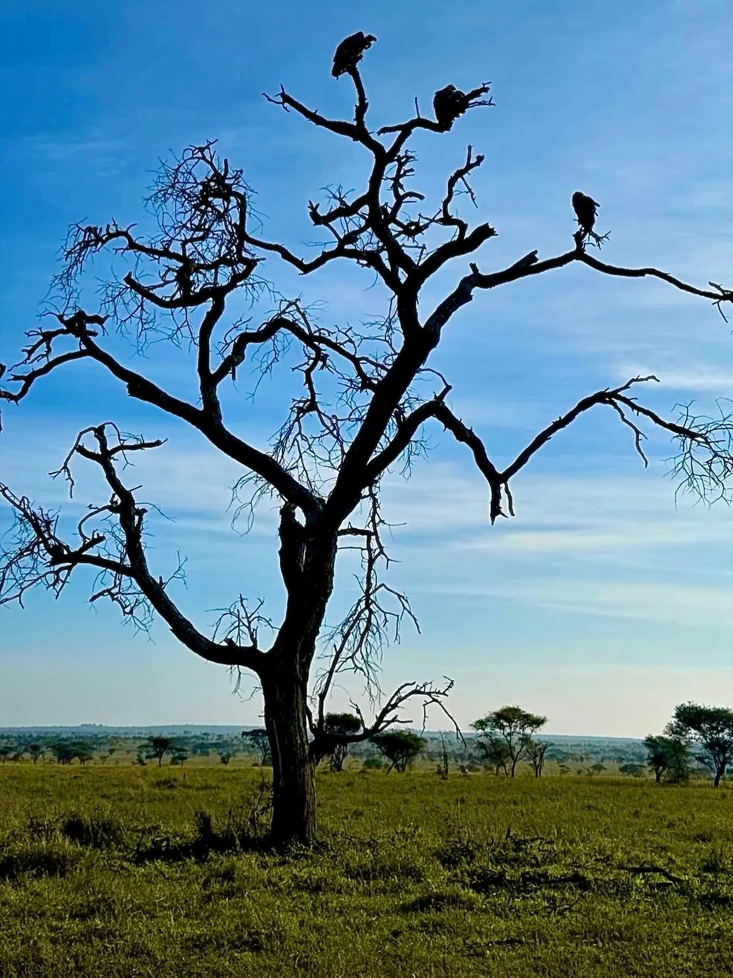 Beautiful Kenya❤️❤️

#kenya #africa #travel #experience #adventure