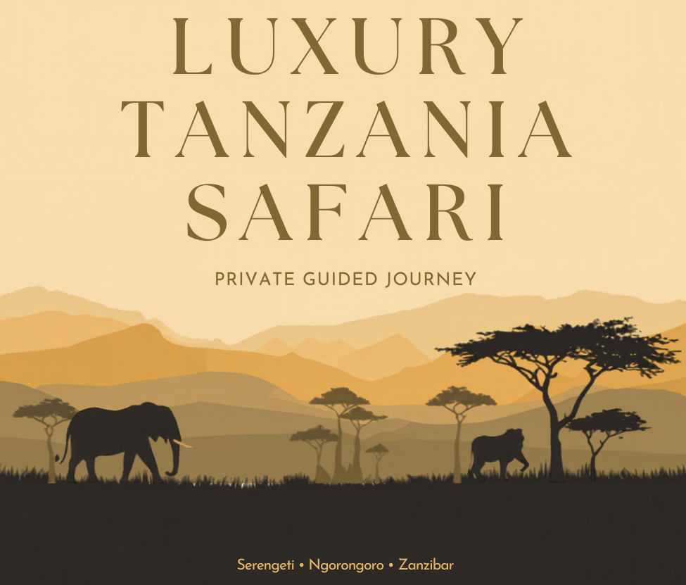 Cover image for a luxury safari tour in Tanzania featuring a silhouette of elephants and acacia trees against a layered mountain landscape during sunset.