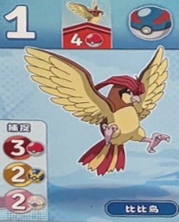 Pidgeotto (2).jpg