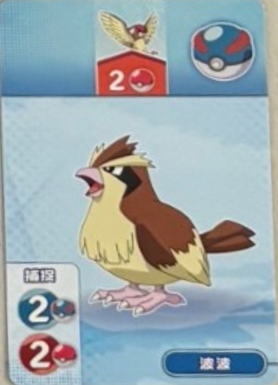 Pidgey (2).jpg