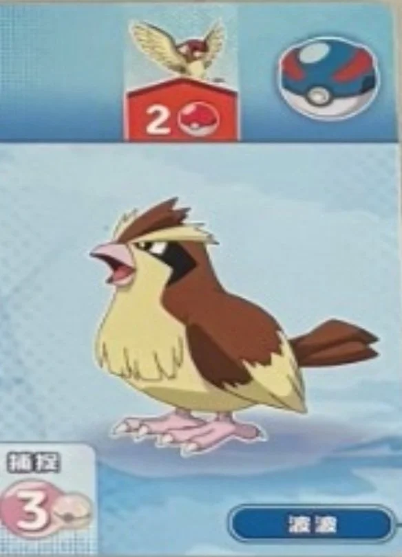 Pidgey.jpg