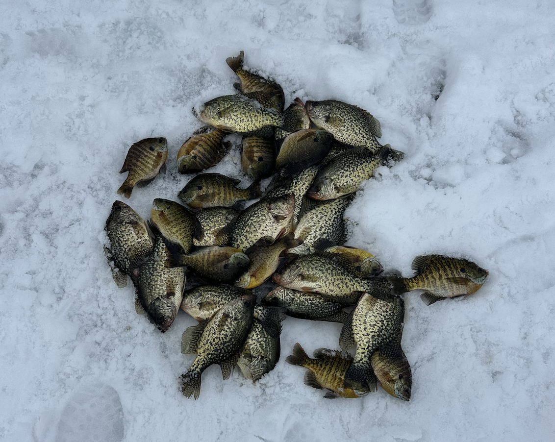 Screenshot 2026-01-18 at 8.07.59 PM.png